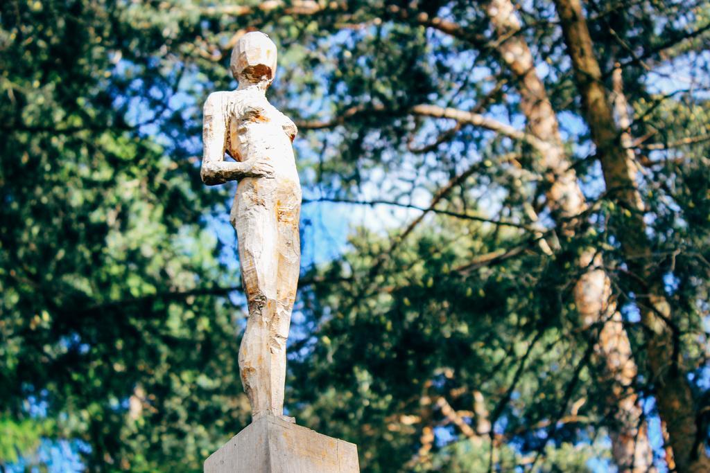 Wiesenhof Collalbo Εξωτερικό φωτογραφία